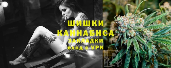 прущие грибы Беломорск
